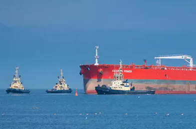 在選擇國際海運公司時，我們要注意的6點要素分別是哪些？