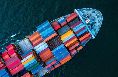 天津國際貨代公司在近年來取得了哪些成績和進步？